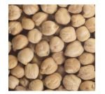 Seeds germinate - Chickpea